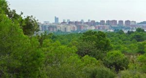 Les Moles de Paterna