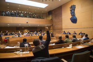Pleno extraordinario Presupuestos Doputacion 2020