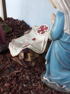 belen alfafar actos irrespetuosos