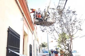 bomberos temporal viento
