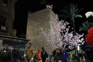 Entrada Flor Torrent