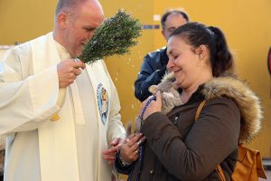 Bendicion animales Torrent 2020