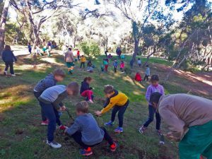 Escolares de Paterna plantando árboles