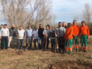 Limpieza cañas rio Turia