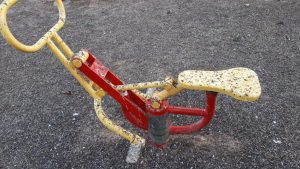 estorninos parque Silla