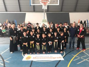 Club Hapkido Massamagrell