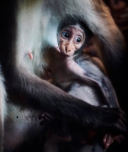 1º VICTOR ALBERO MONTEAGUDO