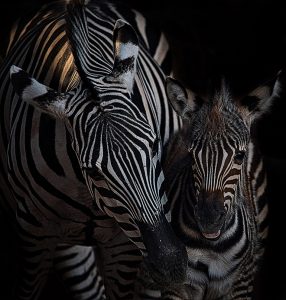 2º HERMENEGILDO ANTONIO MARTINEZ REBENAQUE