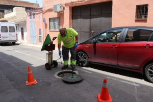 desinfeccion Mosquito tigre Torrent