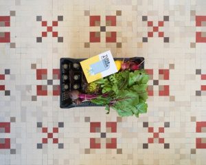 Cerveza Turia Agricultors Locals