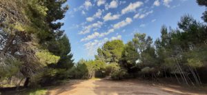 Les Moles de Paterna