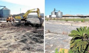 Massanassa terrenos parque natural Albufera