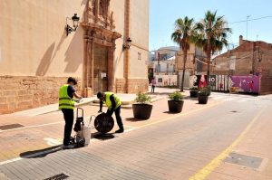 Museros plaga mosquitos