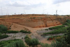 puente torrent McDonalds