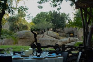 cenas Bioparc Valencia