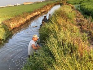 limpieza barrancos Albal