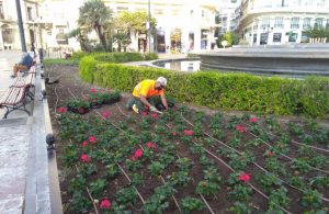 Jardinero del Ayuntamiento