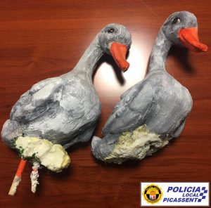 patos robado belen Picassent