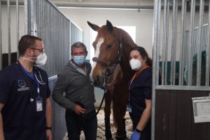 Los propietarios de los caballos dados de alta en el HCV CEU por el brote de rinoneumonía han mostrado su agradecimiento al equipo veterinario, liderado por las profesoras de la CEU UCH Ana Velloso y María de la Cuesta