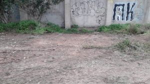 El Ayuntamiento retira en un día 7.320 kilos de residuos de vertederos irregulares en el antiguo cauce del río Túria