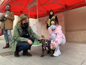 Paterna Animal Friendly