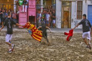 bous al carrer El Puig