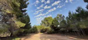 Les Moles de Paterna