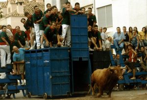 bous al carrer albalat del sorells