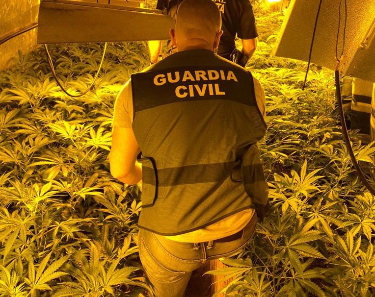 Desarticulada una banda dedicada al cultivo de marihuana que operaba desde chalés de Godelleta, Manises, Pedralba y València