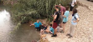 Proyecto Emys Torrent