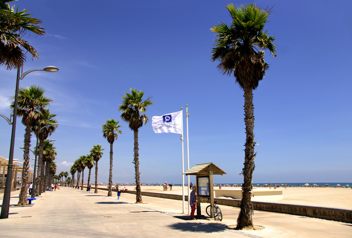 bandera Q playas Alboraya
