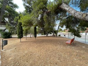 parque canino Paterna