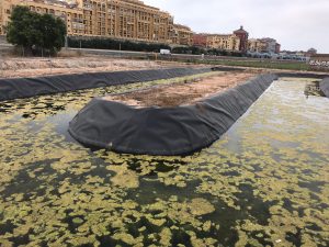 filtro verde de Meliana