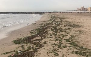 playa meliana suciedad