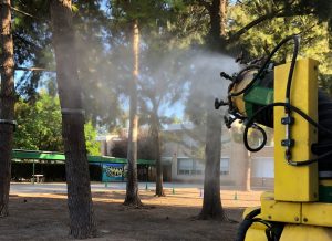 fumigaciones Massmagrell