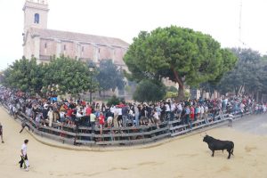 Puçol bous al carrer