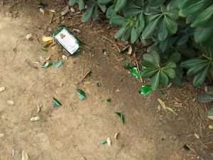 botellón parque Albal