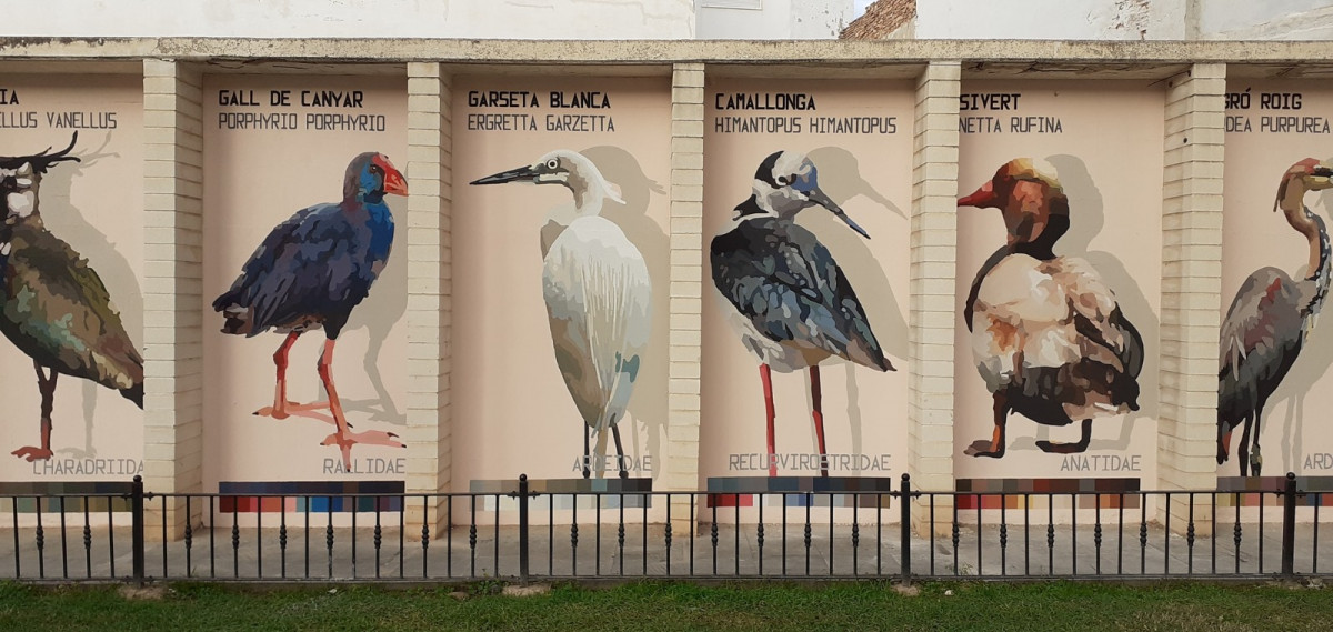 Nuevo mural dedicado a las aves del Parc Natural de l’Albufera en la plaza Llotgeta de Catarroja