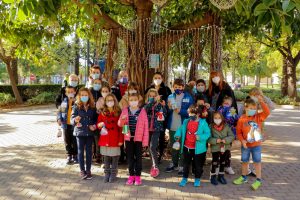 Decoración ficus Torrent Navidad