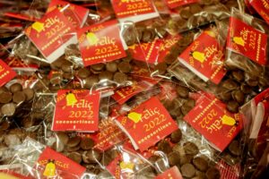 Xocosortines Torrent