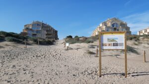 Playa del Perellonet