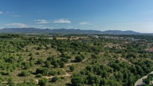 PAI Torreta del Pirata de Godella