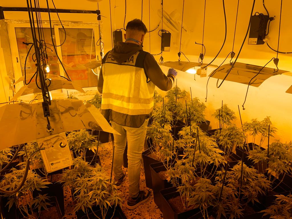 La Policía Nacional detiene en Torrent a dos jóvenes tras desarticular un laboratorio de marihuana