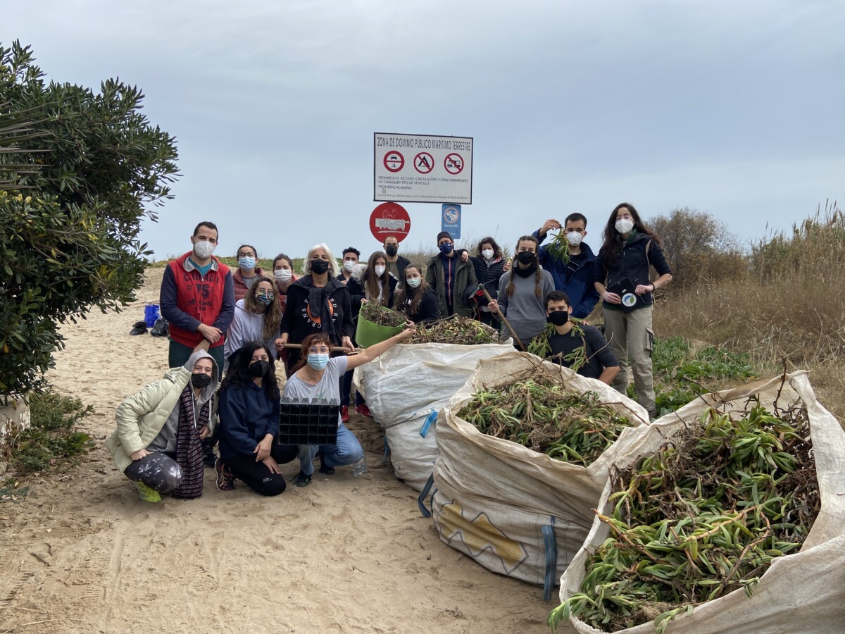 Voluntariado limpieza playa Peixets en Alboraya