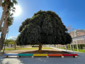 nuevo sistema de poda Alaquàs