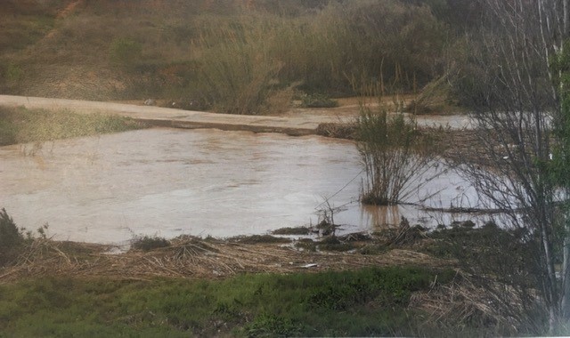 PASARELA BARRANCO Torrent
