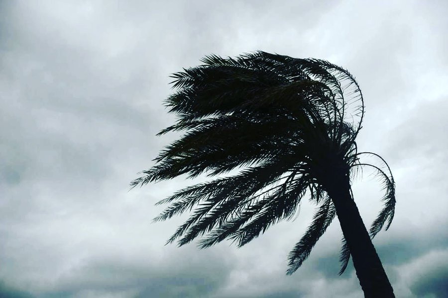 fuertes vientos