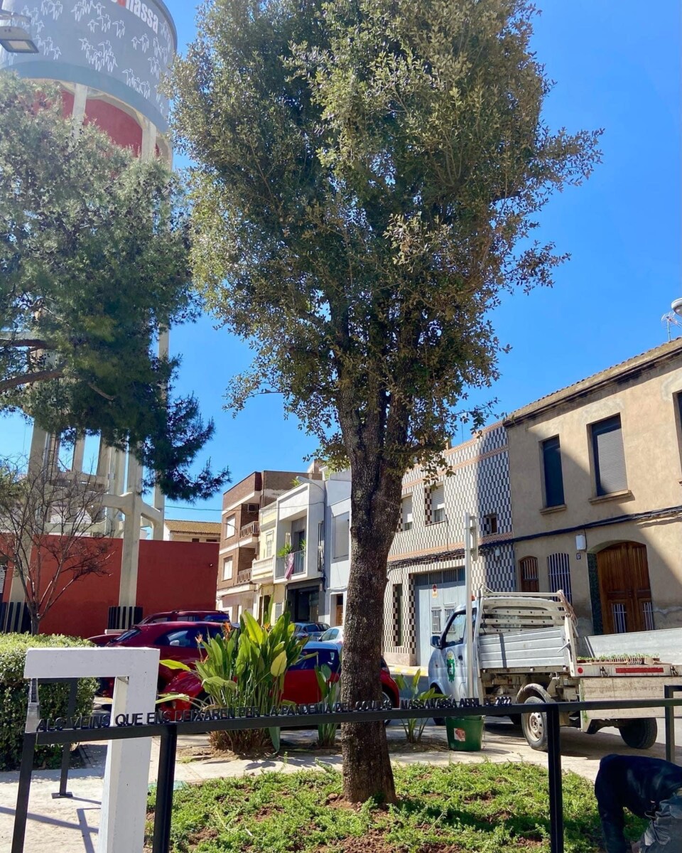 Carrasca Massanassa victimas COVID