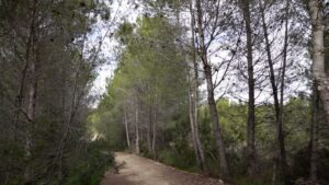 La Vallesa