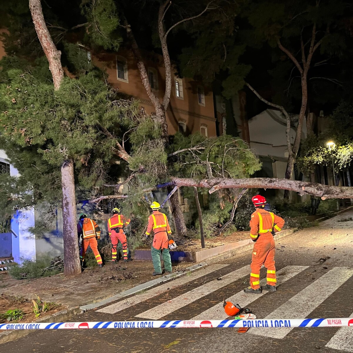 arbol caído Godella